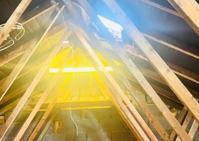 Exposed roof trusses during a loft conversion strip-out